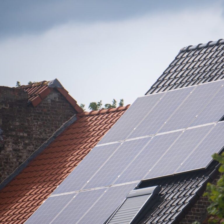 pexels-jan-van-bizar-92378004-27863809